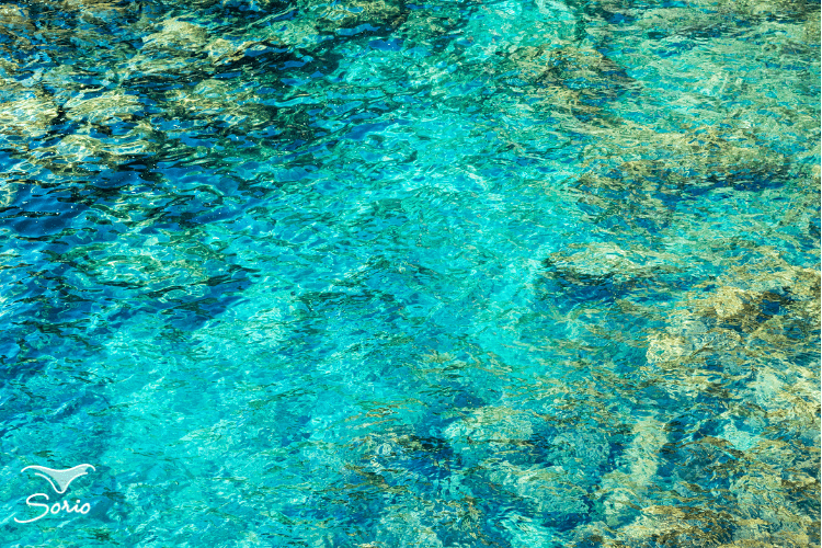 les raisons d'acheter un maillot de bain menstruel