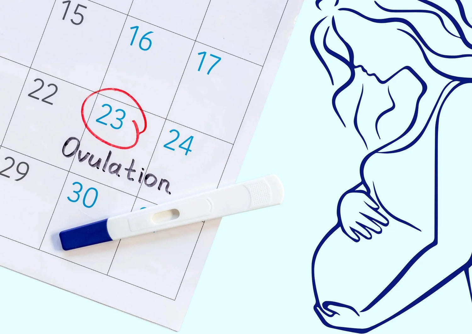 Peut-on tomber enceinte pendant ses règles