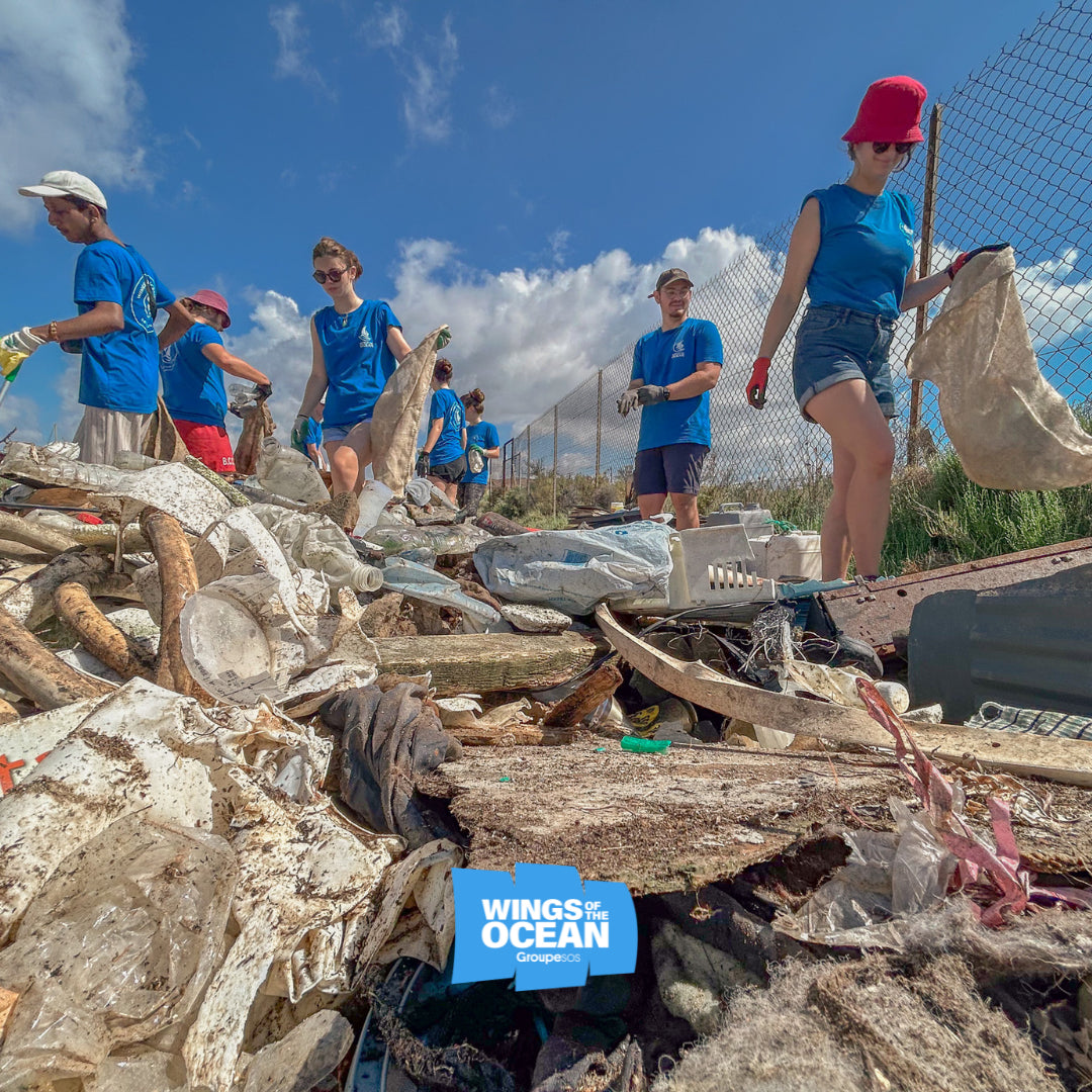 wings of the ocean association sorio