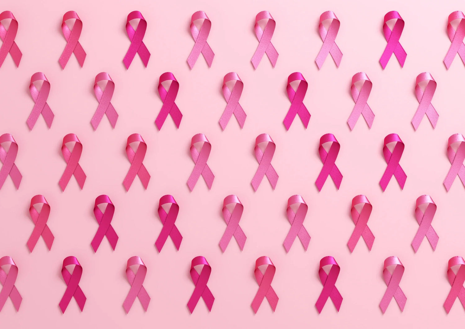 octobre en rose